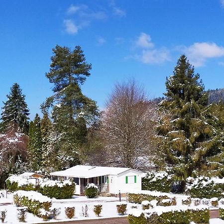 Gîte des Granges Bas Gérardmer Extérieur photo