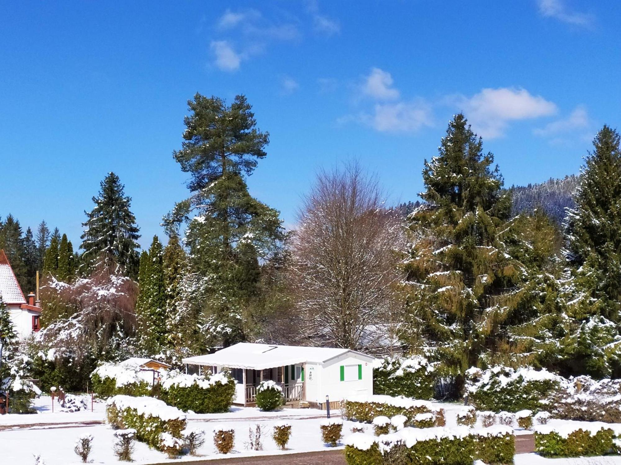 Gîte des Granges Bas Gérardmer Extérieur photo